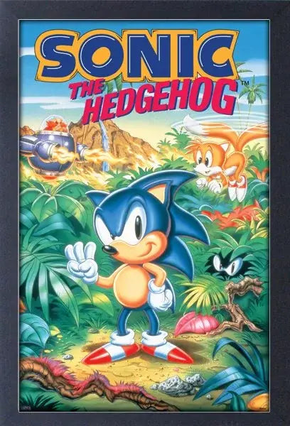 Sonic - Sonic 3 Framed Print 11" x 17" Wall Art Display Piece Sonic the Hedgehog - Sonic 3 Framed Print 11" x 17" Wall Art Display Piece
