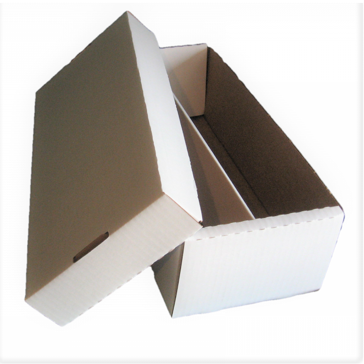 1600 ct. Trading Card Storage Box w/ Lid: Shoe Storage Box