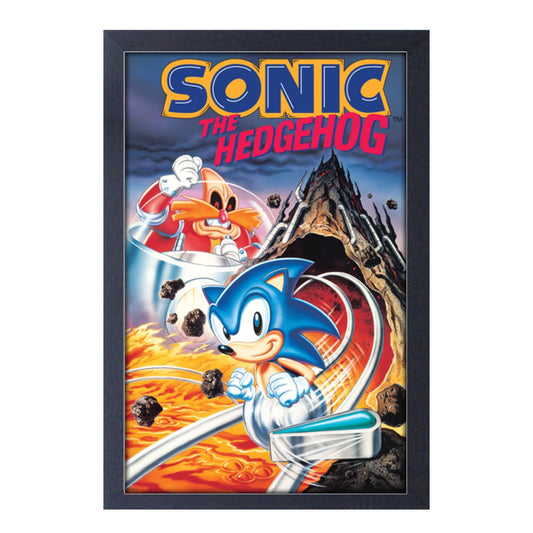 Sonic Spinball Emerald Club World Tour Framed Print