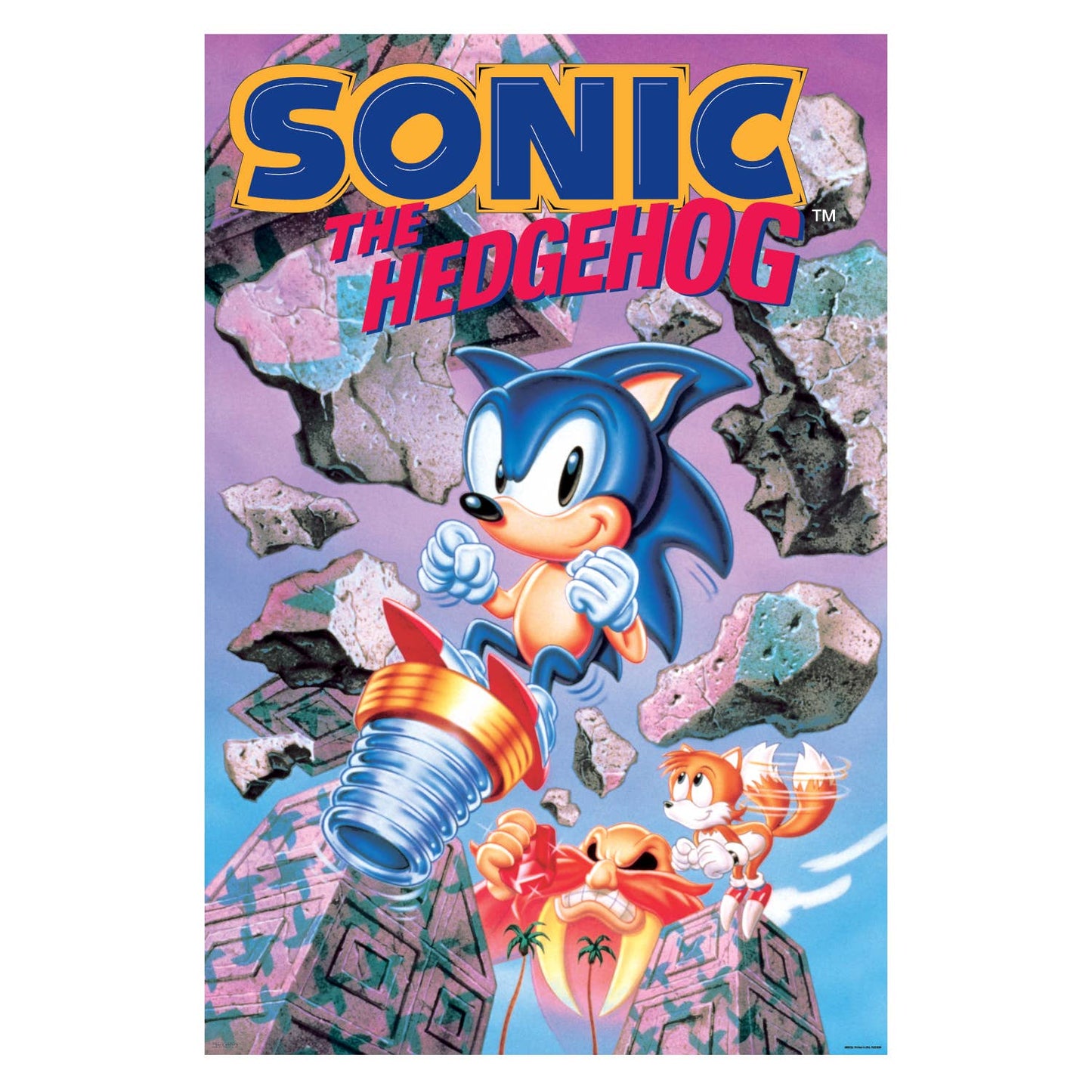 Sonic the Hedgehog – Break Through Wall Decor Art Print Poster 24" x 36"