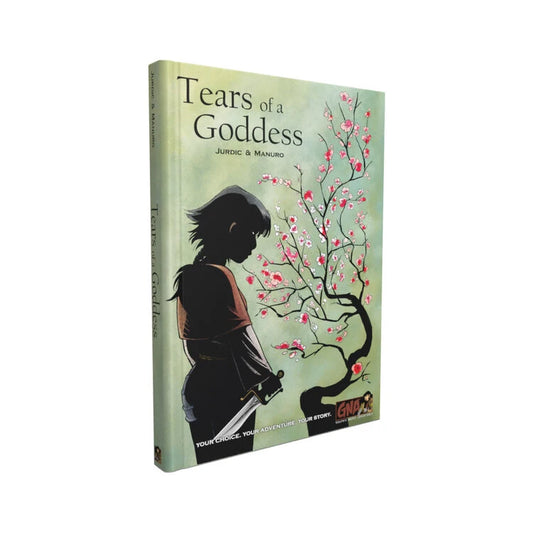 Tears of a Goddess Hardcover Graphic Novel by Jurdic & Manuro: Choose Your Adventure