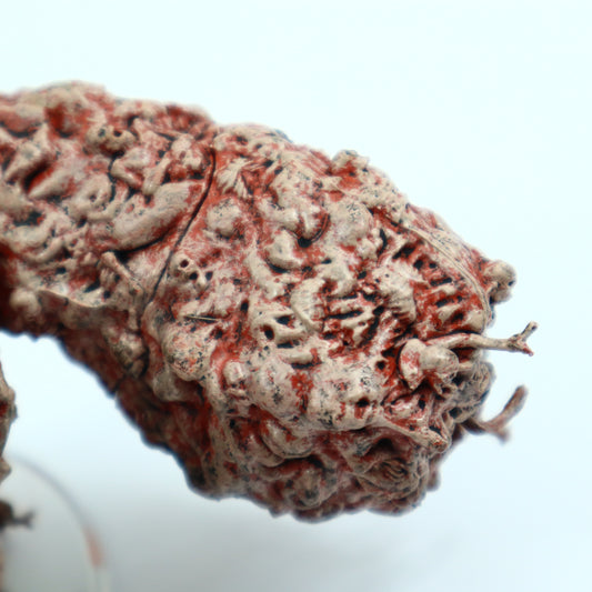 Icons Set 21 - Van Richten's Guide to Ravenloft Painted Miniatures - #27 Zombie Clot - Large Figure