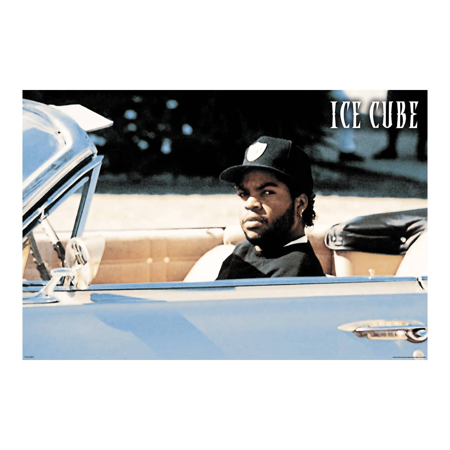 Ice Cube - Convertible Wall Decor Art Print Poster 24" x 36"
