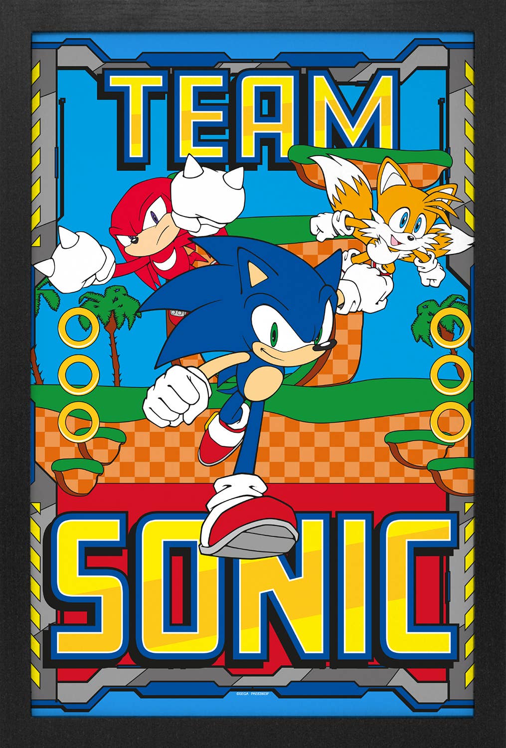 Sonic - Team Sonic Framed Print 11" x 17" Wall Art Display Piece 