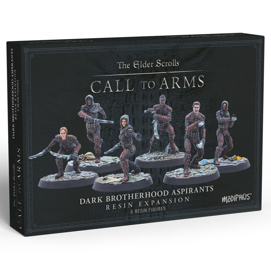 Elder Scrolls Call to Arms: Dark Brotherhood Aspirant Assassins: Unpainted Resin Miniatures